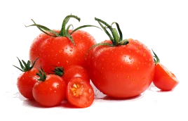 Fresh Red Tomatoes
