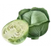 Fresh Cucumbers